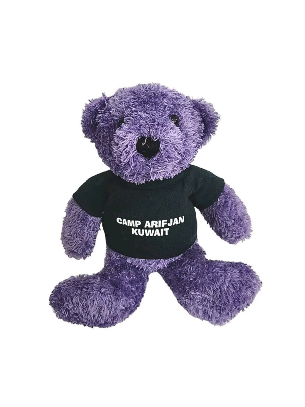 Purple Teddy Bear Plush Soft Toy Plushie Camp Arifjian Kuwait Beanie 8.5"